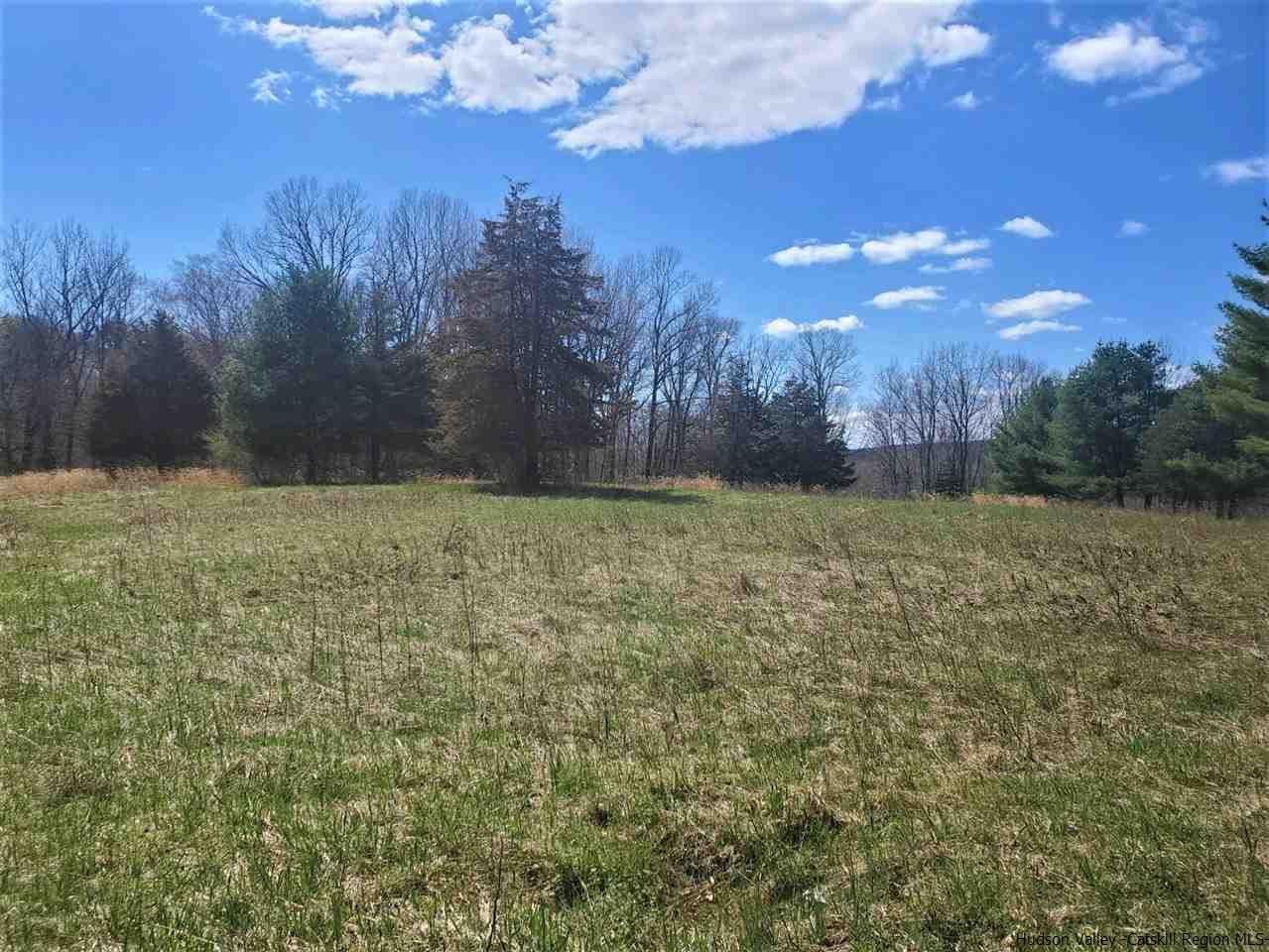 4321 Route 209 Stone Ridge Stone Ridge, NY 12484 - Photo 4 of 15 Photo 4