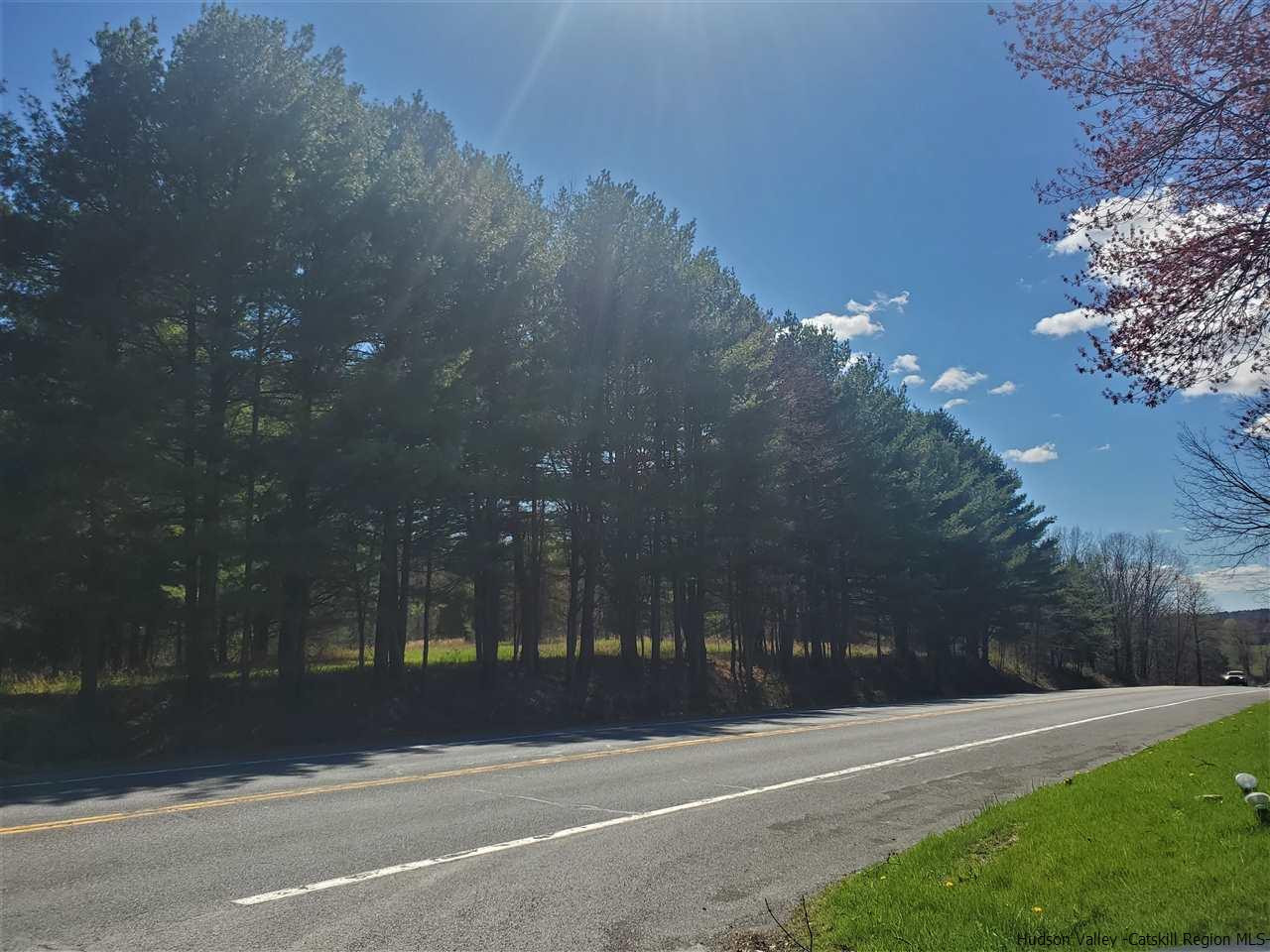 4321 Route 209 Stone Ridge Stone Ridge, NY 12484 - Photo 6 of 15 Photo 6