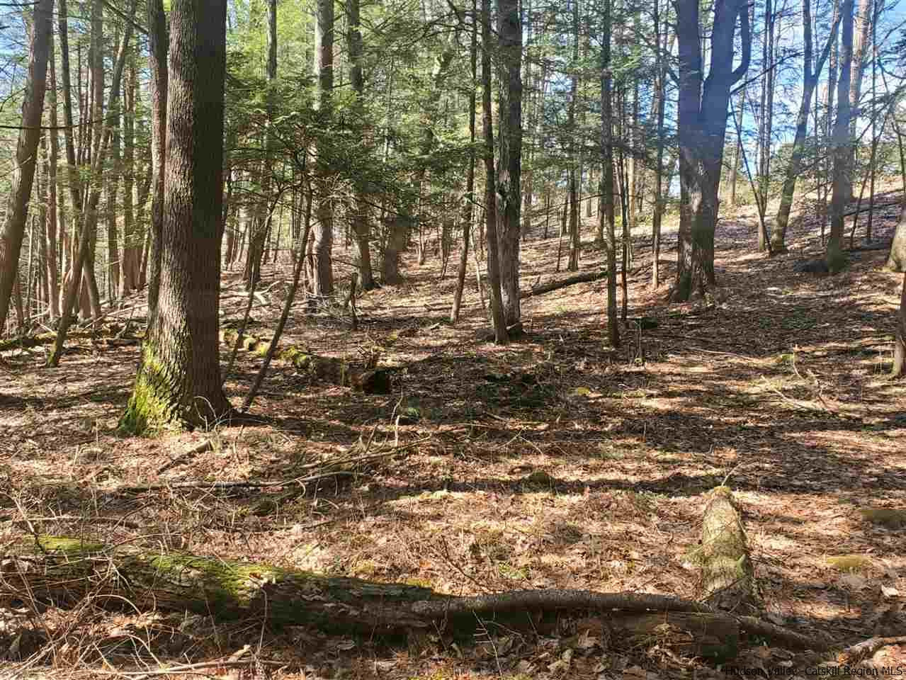 4321 Route 209 Stone Ridge Stone Ridge, NY 12484 - Photo 10 of 15 Photo 11