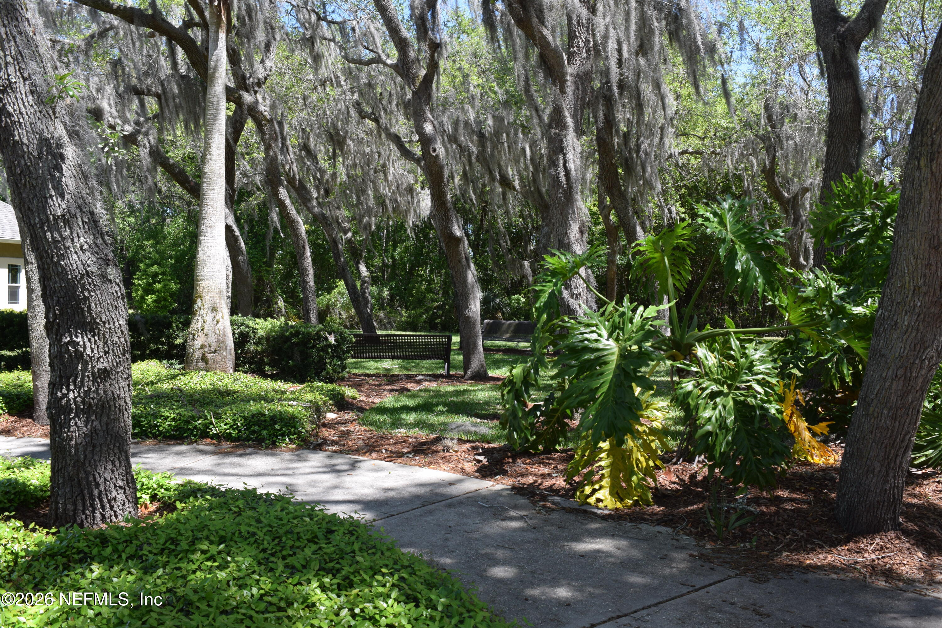 44 Utina Way St. Augustine, FL 32084 - Photo 41 of 48 a view of backyard with large trees