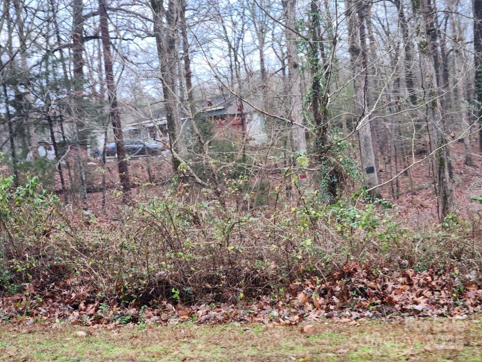 453 Lancaster Estate Road Indian Land, SC 29707 - Photo 2 of 3 Gallery Image 2