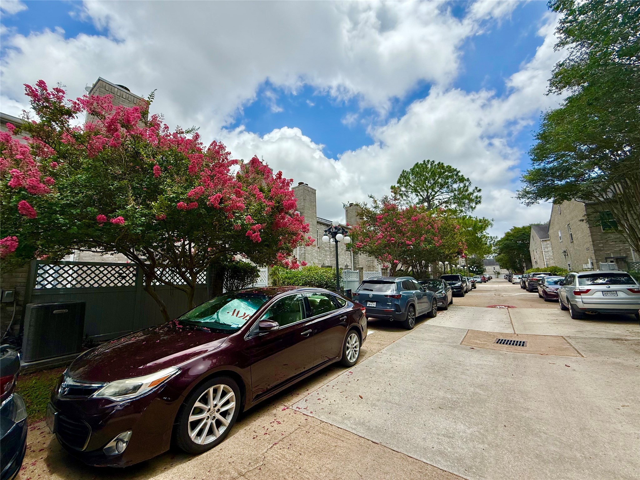 6000 Reims Road, Unit 3010 Houston, TX 77036 - Photo 24 of 28 Subdivision environment with flowers and trees