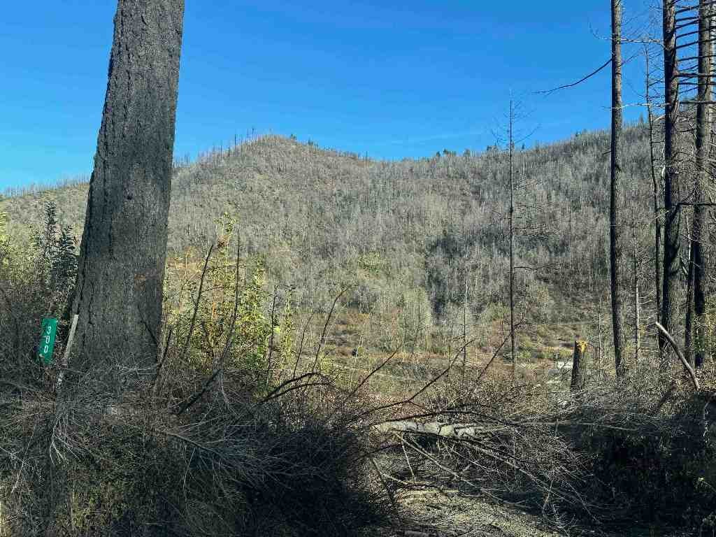 300 Doolittle Creek Road Happy Camp, CA 96039 - Photo 1 of 1 Gallery Image 1