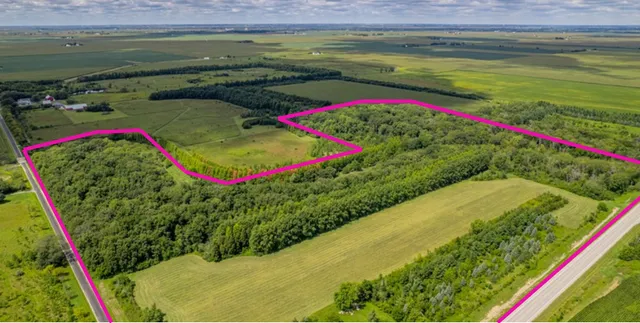 $400,000 | 54.23-acres 2700 North Road, Ashkum, IL 60911
