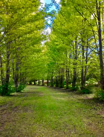 $400,000 | 54.23-acres 2700 North Road, Ashkum, IL 60911