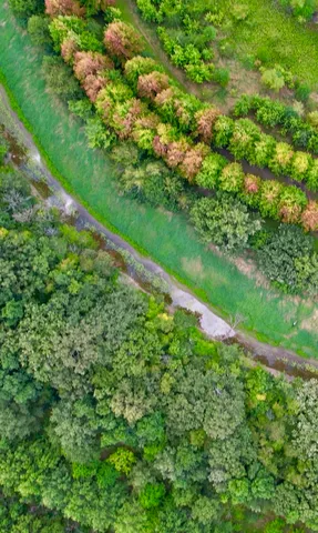 $400,000 | 54.23-acres 2700 North Road, Ashkum, IL 60911