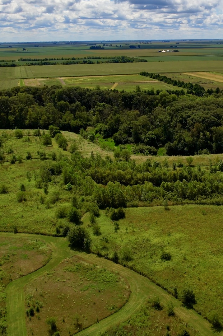 54.23-acres 2700 North Road Ashkum, IL 60911 - Photo 7 of 7 a view of a field with an ocean view