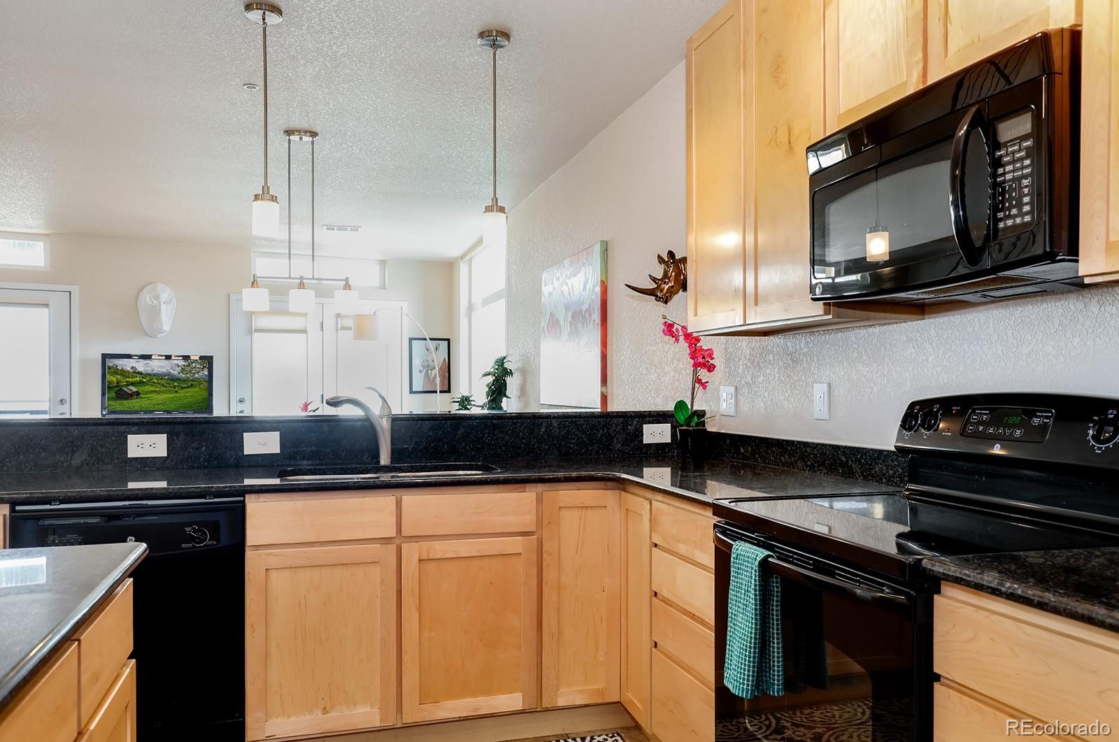 3101 Blake Street, Unit 309 Denver, CO 80205 - Photo 8 of 23