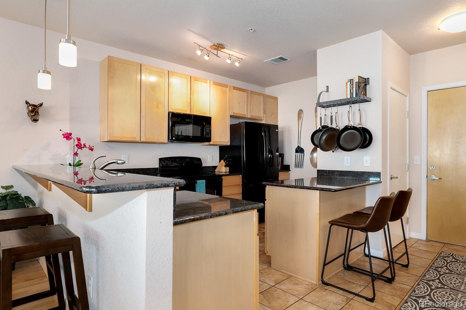 3101 Blake Street, Unit 309 Denver, CO 80205 - Photo 9 of 23