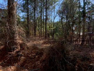 0 Cook Road Stockbridge, GA 30281 - Photo 3 of 10