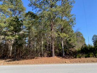 0 Cook Road Stockbridge, GA 30281 - Photo 4 of 10 a view of a yard
