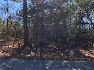 0 Cook Road Stockbridge, GA 30281 - Photo 6 of 10 a view of a forest