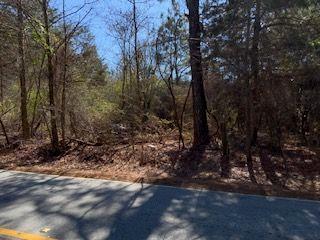 0 Cook Road Stockbridge, GA 30281 - Photo 7 of 10 a view of a forest filled with trees