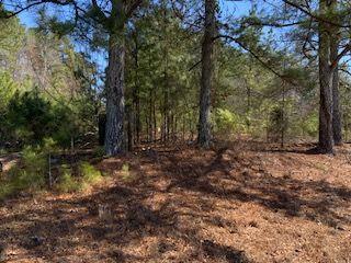 0 Cook Road Stockbridge, GA 30281 - Photo 8 of 10