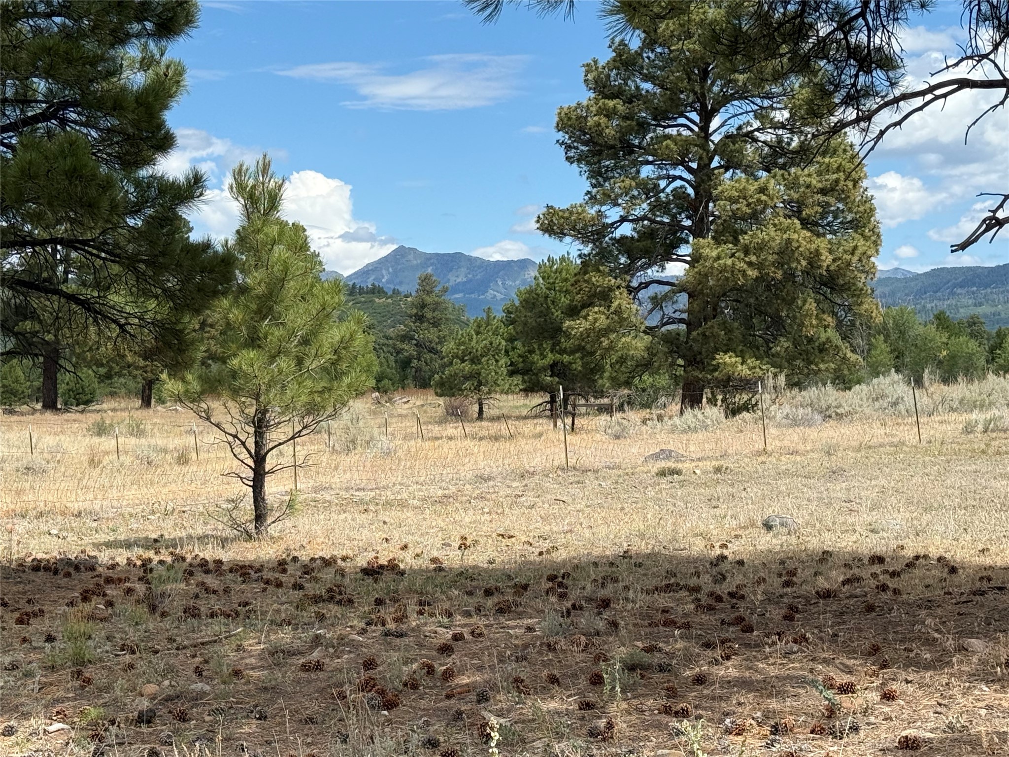0 Thistle Loop Chama, NM 87520 - Photo 1 of 3