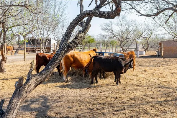 $1,800,000 | 38713 North Fm 681, Linn, TX 78563