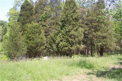 5 Dennis Road Lawrenceburg, KY 40342 - Photo 3 of 5 Photo 3