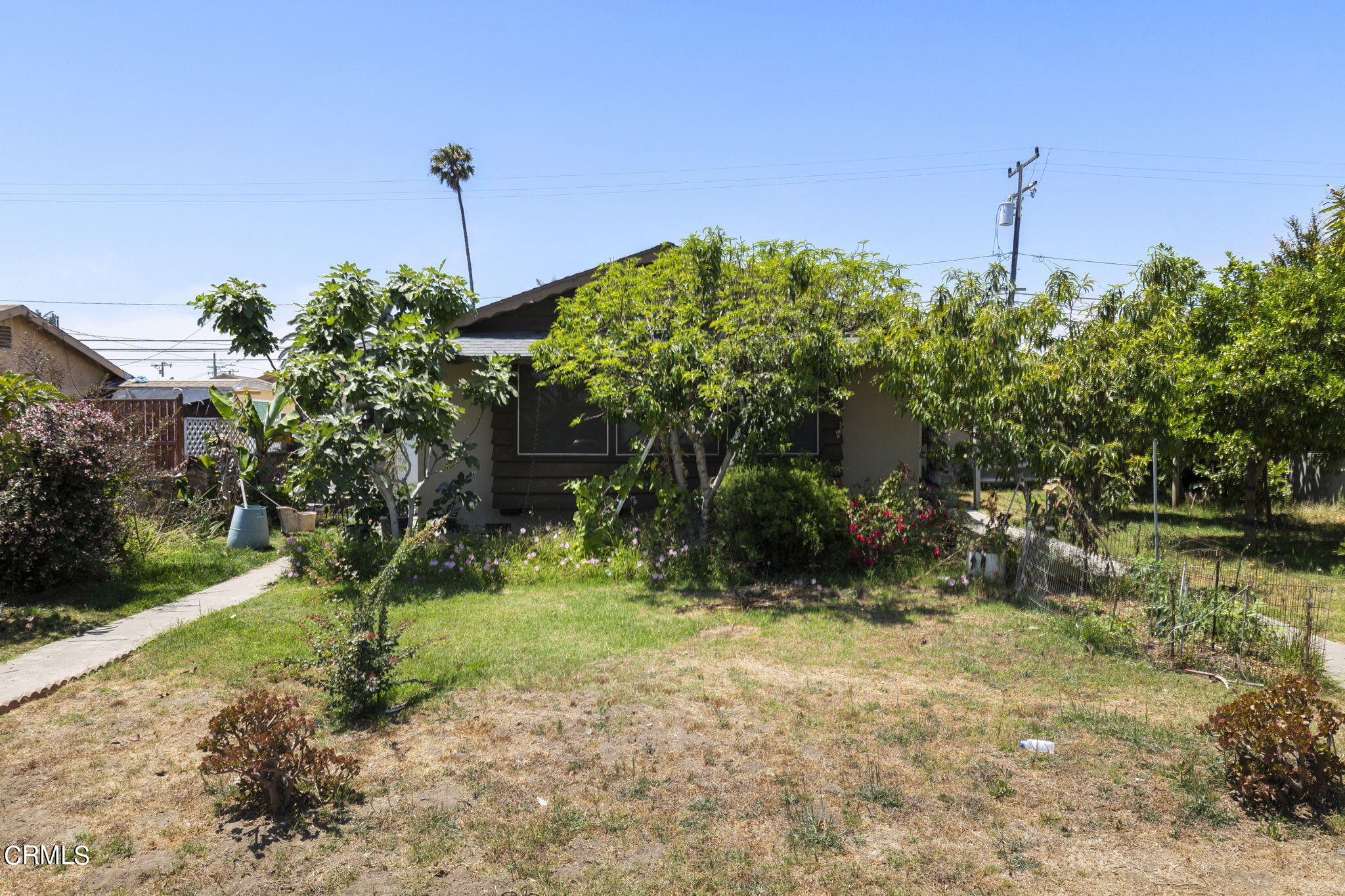 a yellow house with trees in front of it