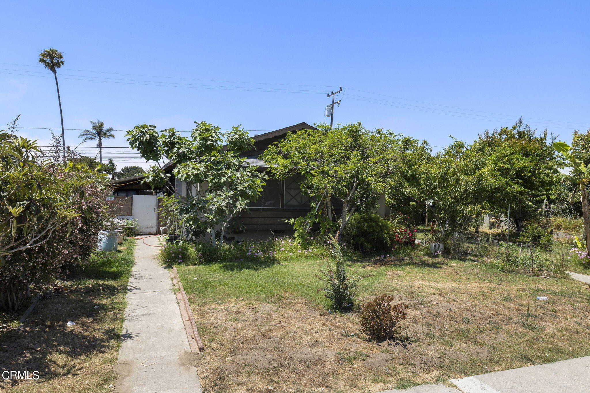 4829 Saviers Road Oxnard, CA 93033 - Photo 2 of 31 a pathway of a yard