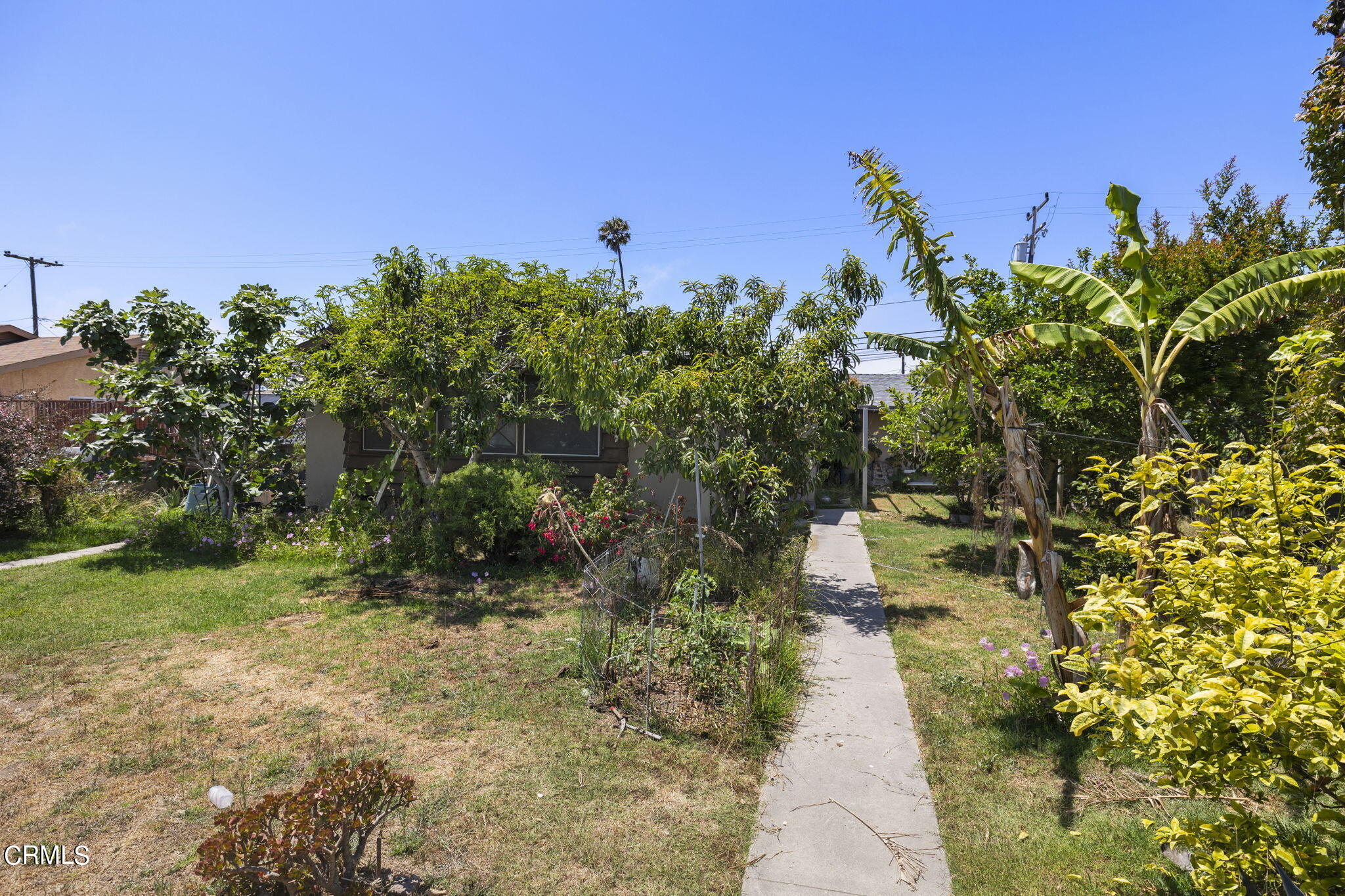 4829 Saviers Road Oxnard, CA 93033 - Photo 3 of 31 a view of a pathway both side of building