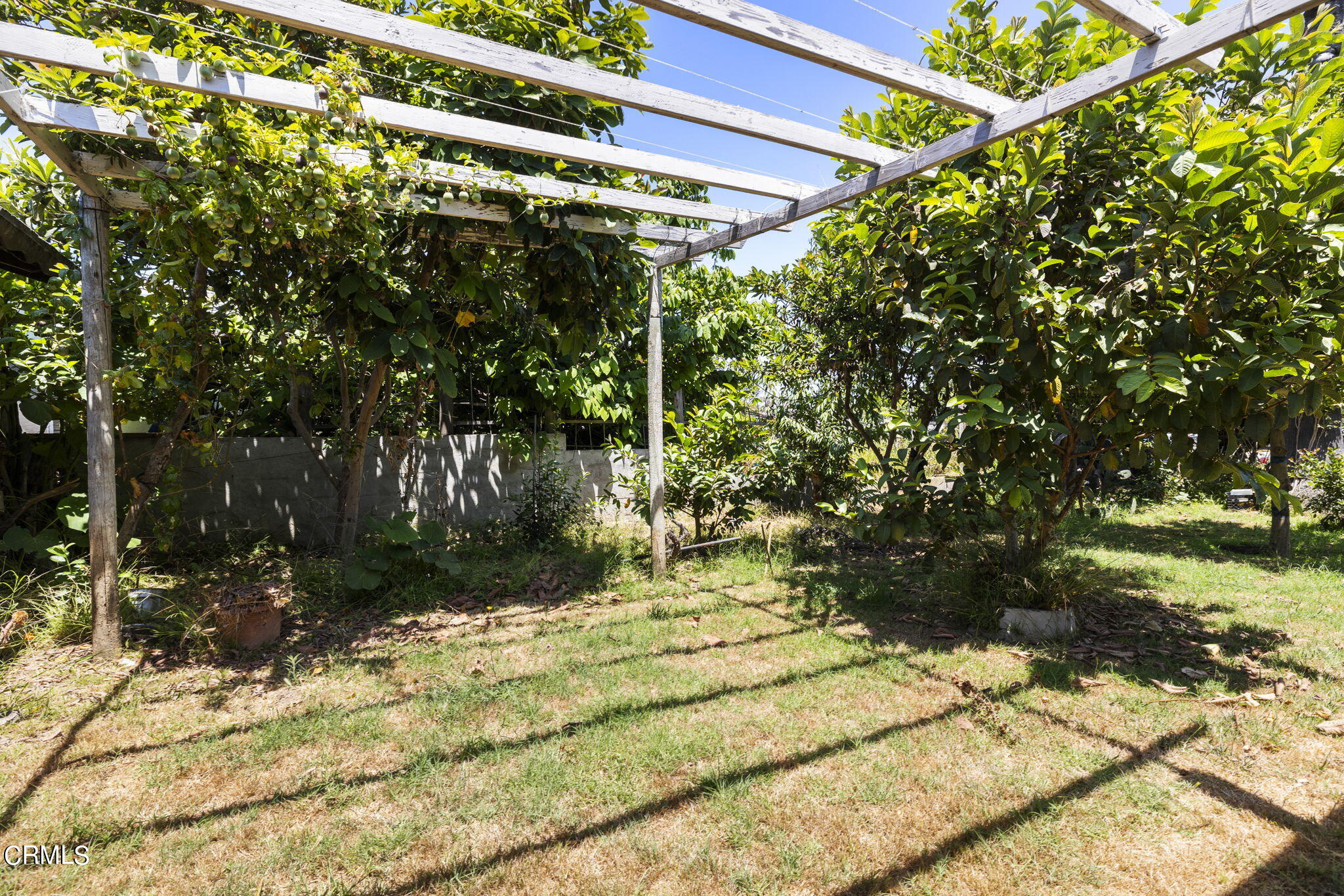 4829 Saviers Road Oxnard, CA 93033 - Photo 8 of 31 a backyard of a house with lots of green space