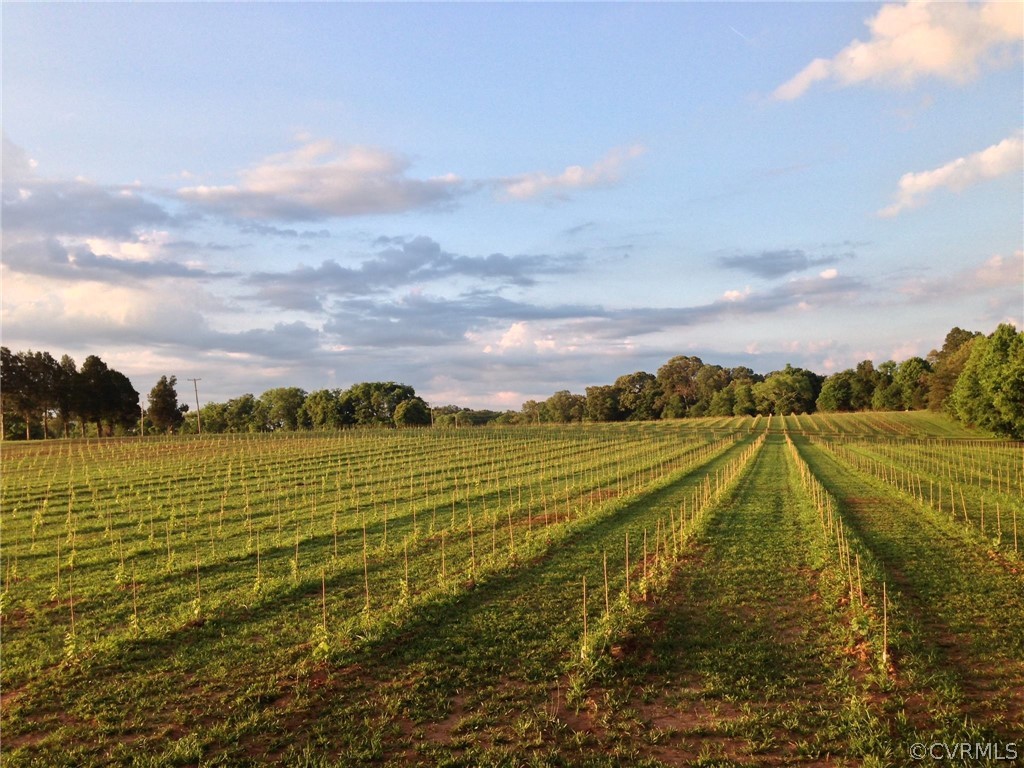950 Rock Castle Road Goochland, VA 23063 - Photo 1 of 21 Gallery Image 1