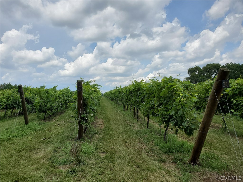950 Rock Castle Road Goochland, VA 23063 - Photo 11 of 21 Gallery Image 11
