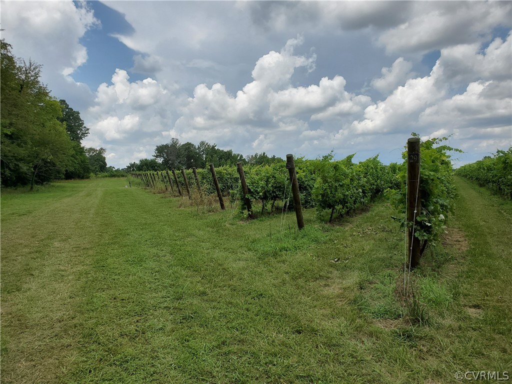 950 Rock Castle Road Goochland, VA 23063 - Photo 12 of 21 Gallery Image 12