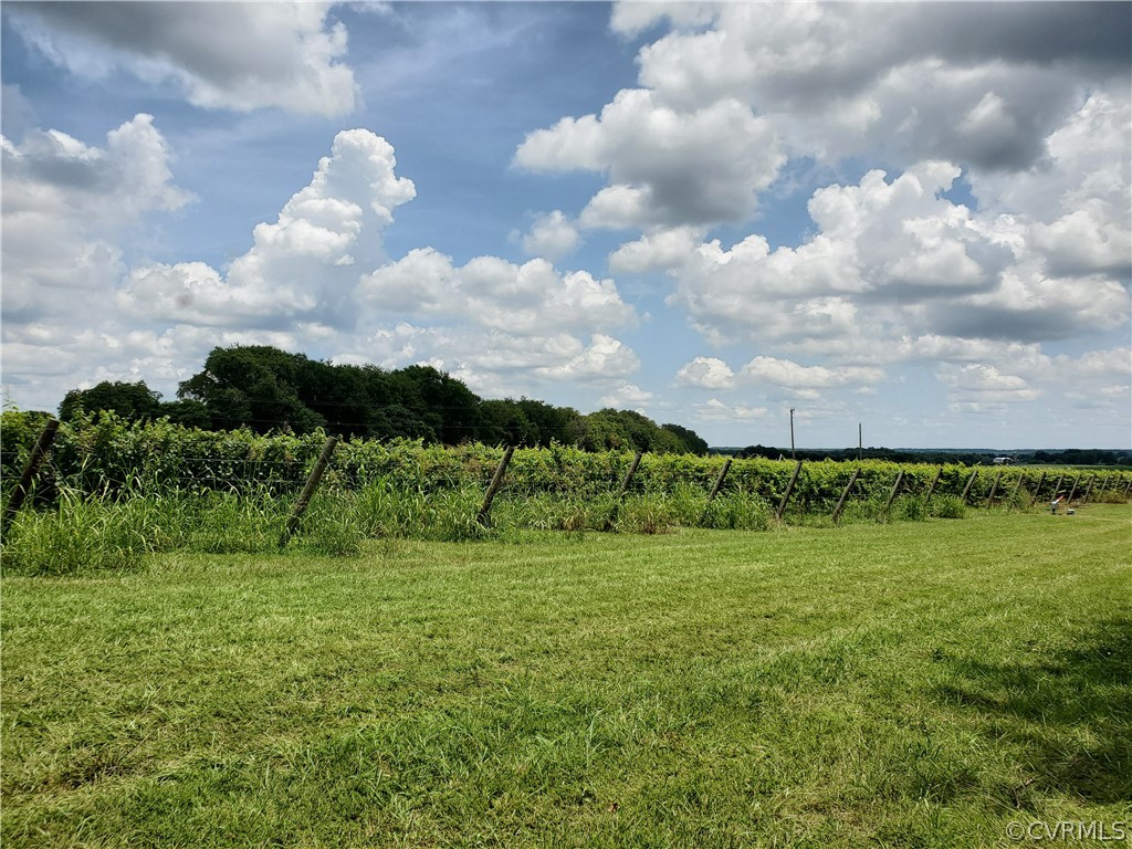 950 Rock Castle Road Goochland, VA 23063 - Photo 13 of 21 Gallery Image 13