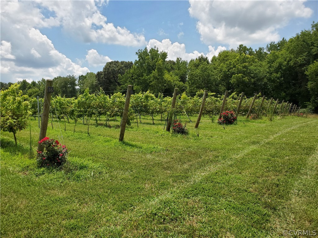 950 Rock Castle Road Goochland, VA 23063 - Photo 16 of 21 Gallery Image 16