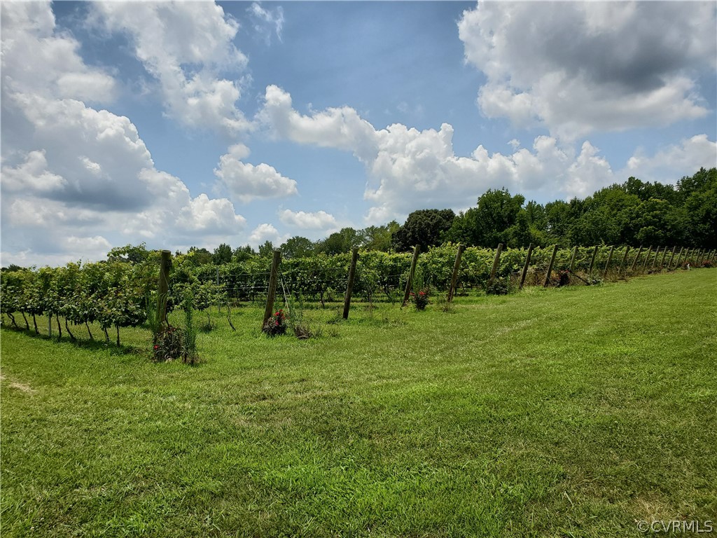 950 Rock Castle Road Goochland, VA 23063 - Photo 17 of 21 Gallery Image 17