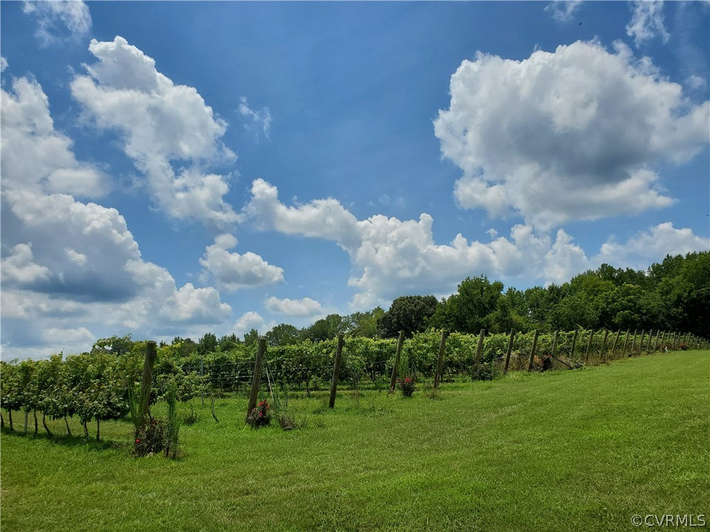 950 Rock Castle Road Goochland, VA 23063 - Photo 18 of 21 Gallery Image 18