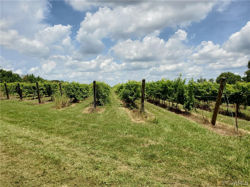 950 Rock Castle Road Goochland, VA 23063 - Photo 8 of 21 Gallery Image 8