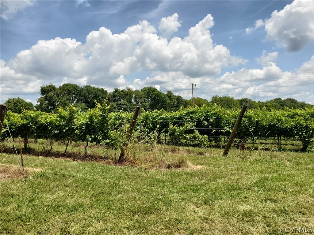 950 Rock Castle Road Goochland, VA 23063 - Photo 9 of 21 Gallery Image 9