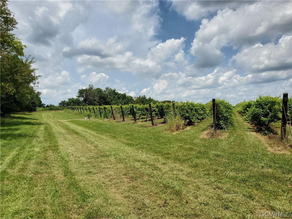 950 Rock Castle Road Goochland, VA 23063 - Photo 10 of 21 Gallery Image 10