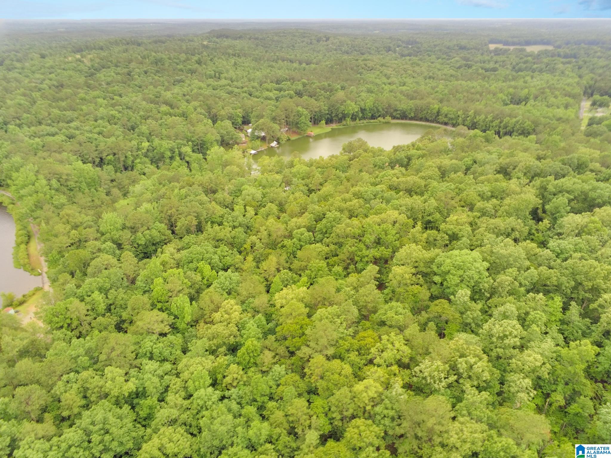 0 County Road 727, Unit 13 Montevallo, AL 35115 - Photo 13 of 15
