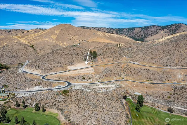 a view of a yard with a mountain
