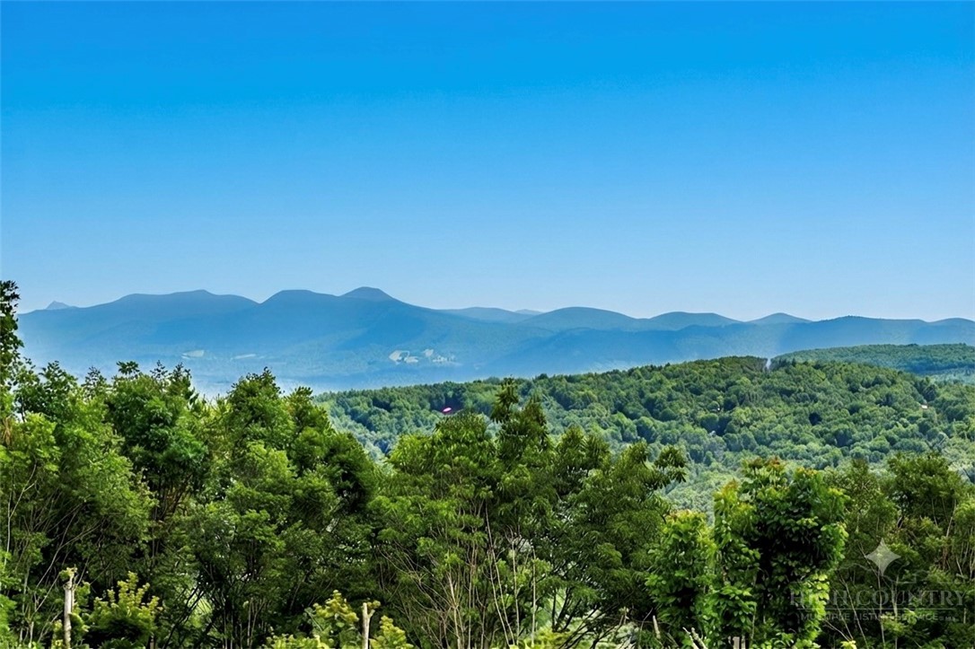 128 Village Road Beech Mountain, NC 28604 - Photo 3 of 32