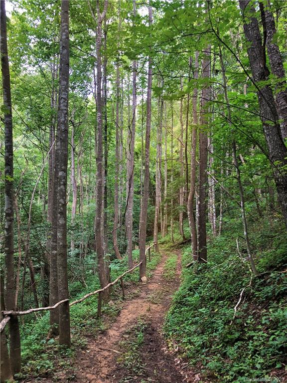 549 Acres) 1166 Old East Ridge Road Deep Gap, NC 28618 - Photo 10 of 48 Gallery Image 10