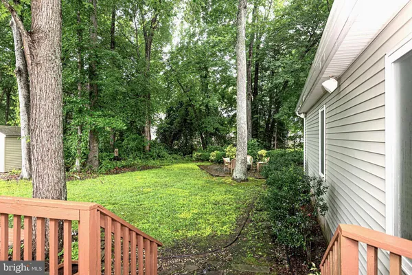 a view of a backyard with plants and large trees