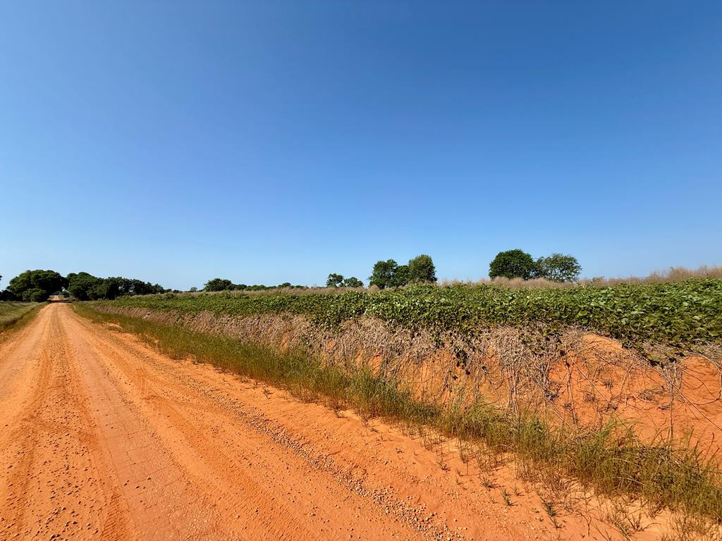 1.0-acre Hollis Dairy Road Newton, AL 36352 - Photo 6 of 6
