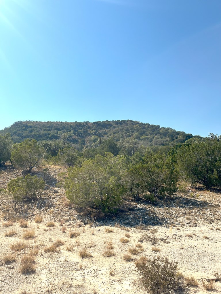 137 Middle Road Rio Frio, TX 78879 - Photo 11 of 29