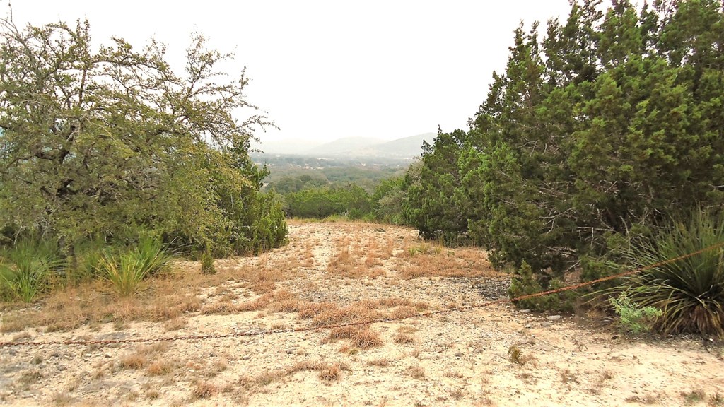 137 Middle Road Rio Frio, TX 78879 - Photo 15 of 29