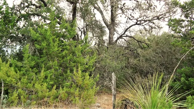 $89,900 | 137 Middle Road, Rio Frio, TX 78879