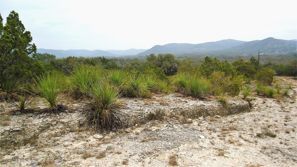 137 Middle Road Rio Frio, TX 78879 - Photo 17 of 29