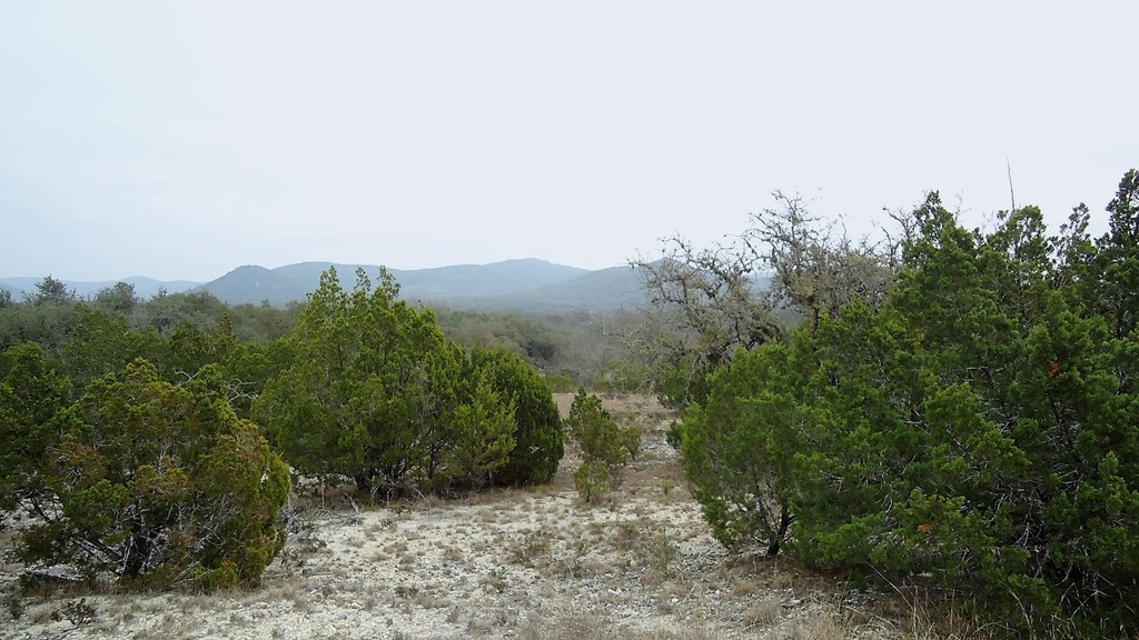 137 Middle Road Rio Frio, TX 78879 - Photo 23 of 29