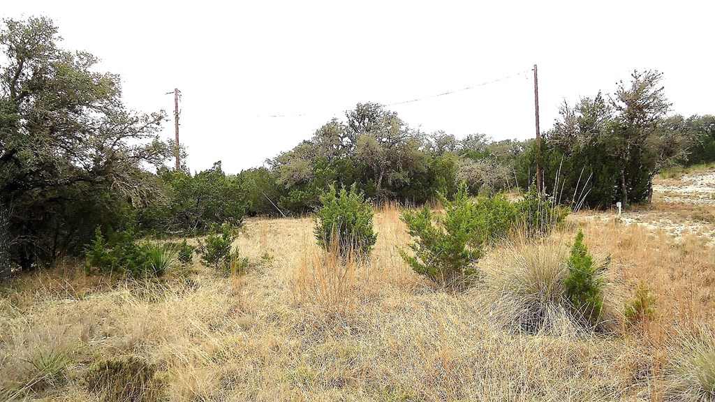 137 Middle Road Rio Frio, TX 78879 - Photo 24 of 29