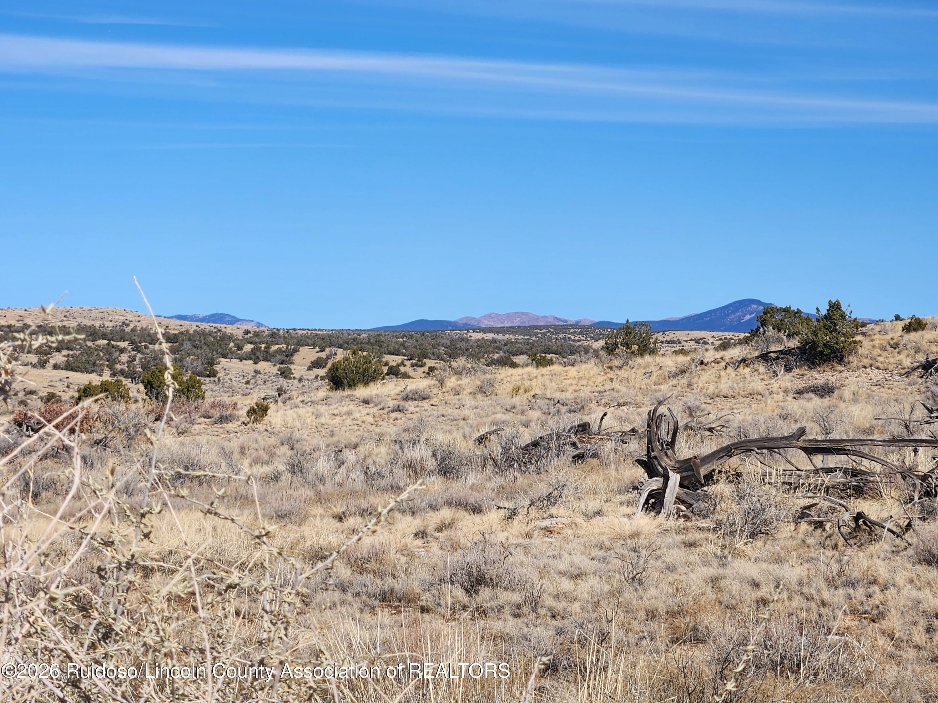 Lot 175 Windmill Road Carrizozo, NM 88301 - Photo 19 of 21 Gallery Image 19