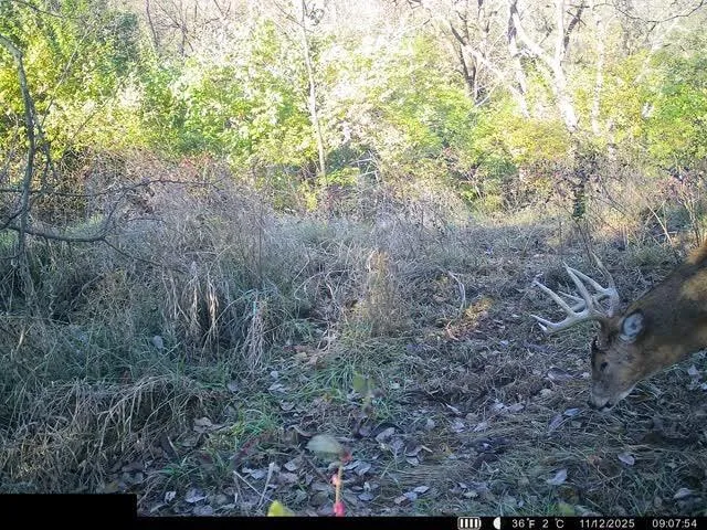 $400,000 | Lot 1 U Road, Hoyt, KS 66440