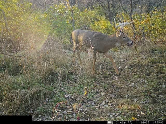 Lot 1 U Road Hoyt, KS 66440 - Photo 12 of 13